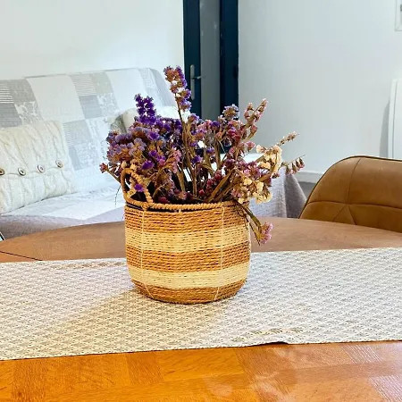 Apartment Jardin & Terrasse Ombragee - T2 Cozy Et Paisible